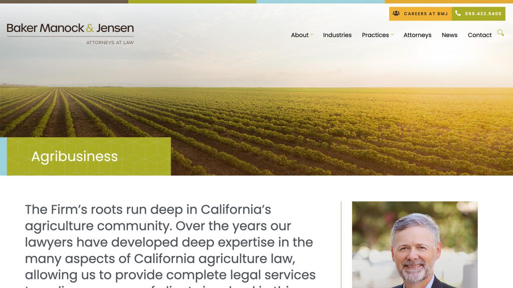 Baker Manock & Jensen law firm website, site design view 4, designed by Dan Gilroy Design