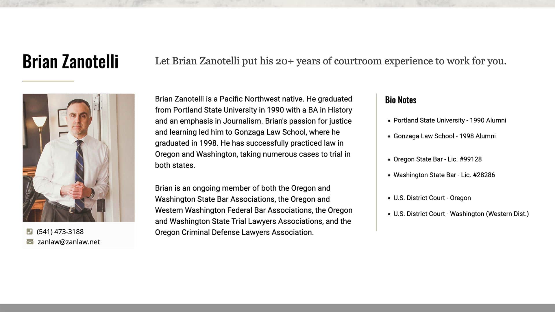 Screenshot of Brian Zanotelli Website