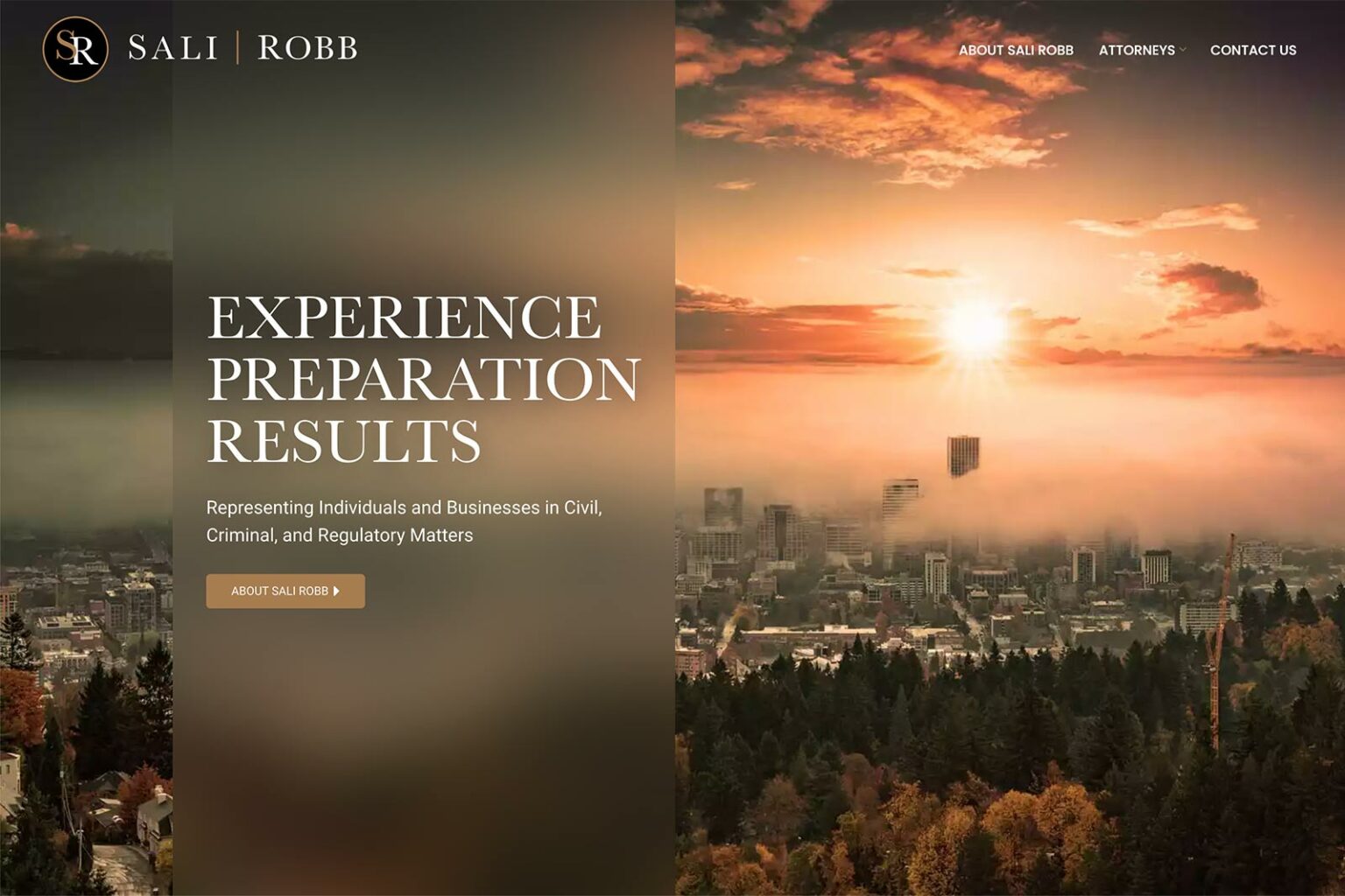 Sali Robb law firm website, home page, designed by Dan Gilroy Design