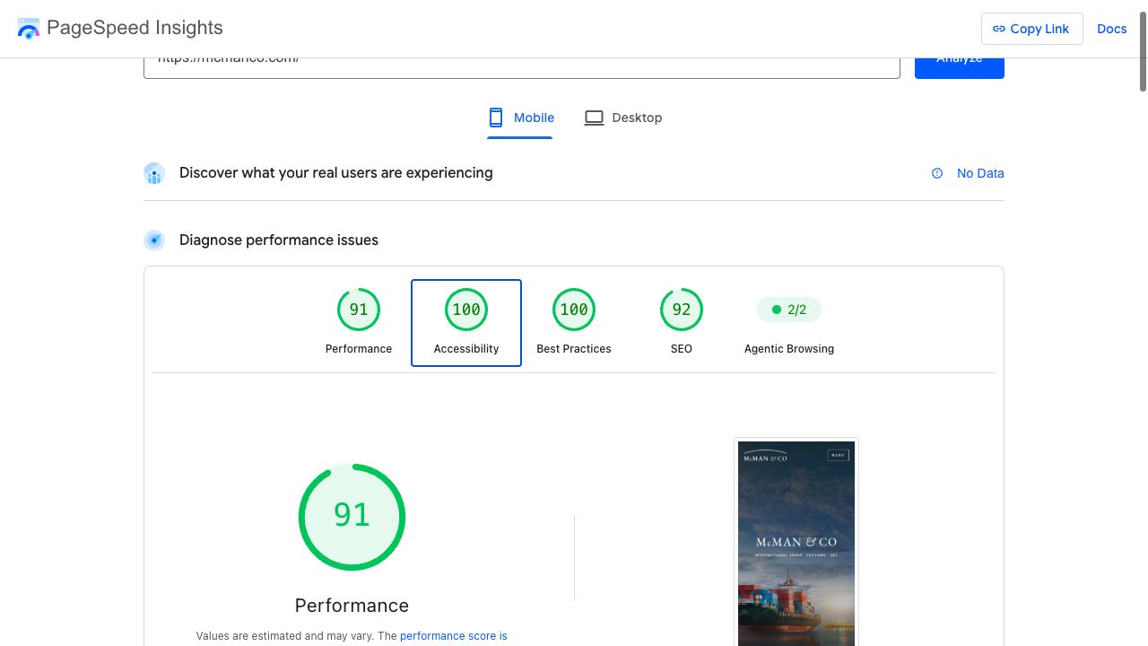 McMan & Co. Mobile Lighthouse report. Performance 91; Accessibility 100; Best Practices 100; SEO 92.